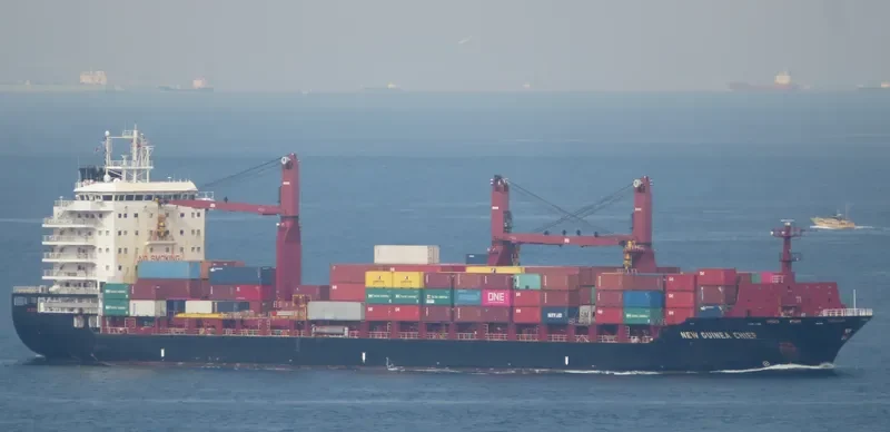 NEW GUINEA CHIEF Container Ship IMO 9689952 photo 7