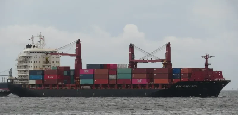 NEW GUINEA CHIEF Container Ship IMO 9689952 photo 8