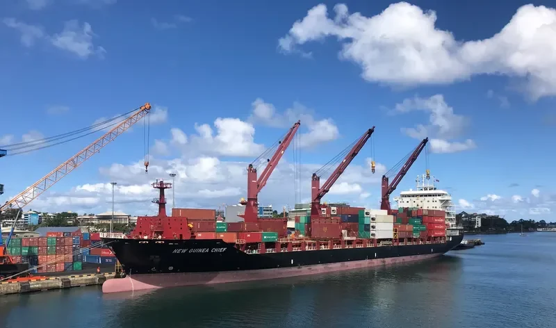 NEW GUINEA CHIEF Container Ship IMO 9689952 photo 9