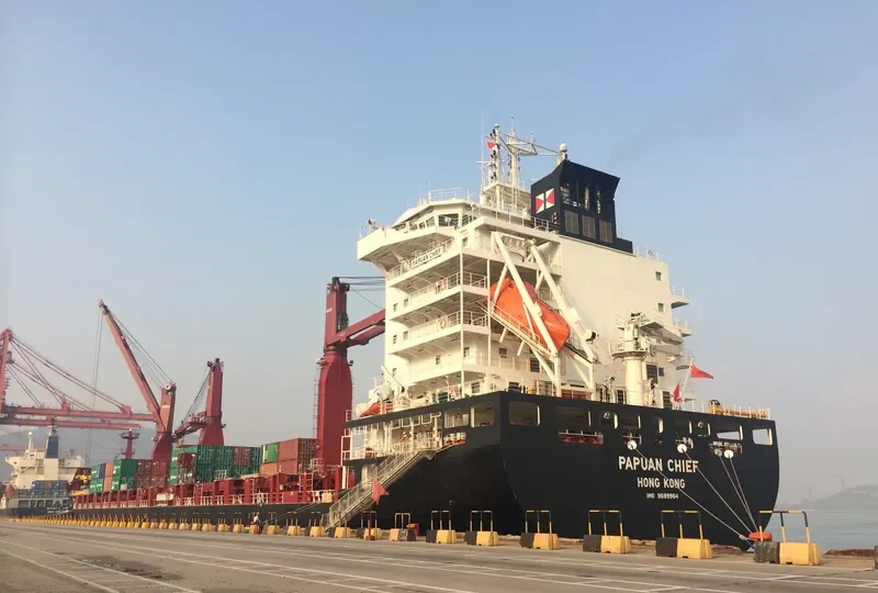 PAPUAN CHIEF Container Ship IMO 9689964 photo 3