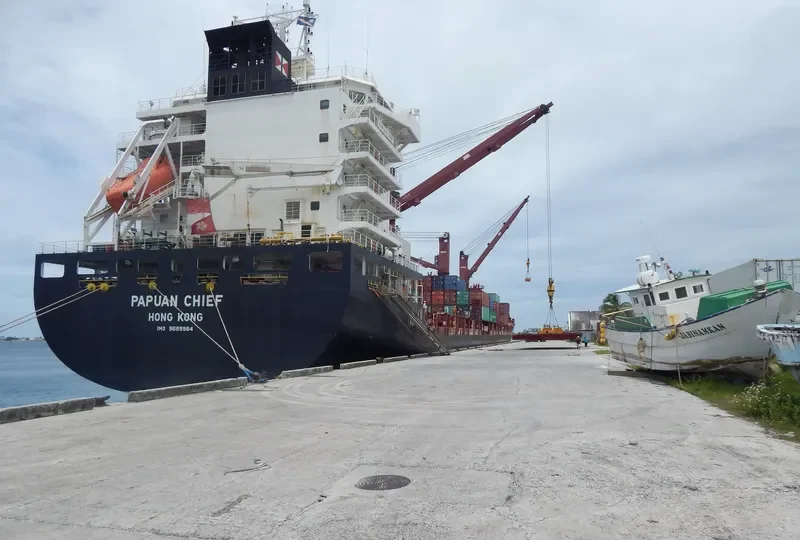 PAPUAN CHIEF Container Ship IMO 9689964 photo 5