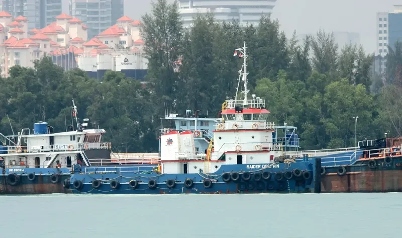 RAIDER DOLPHIN General Cargo IMO 9690054