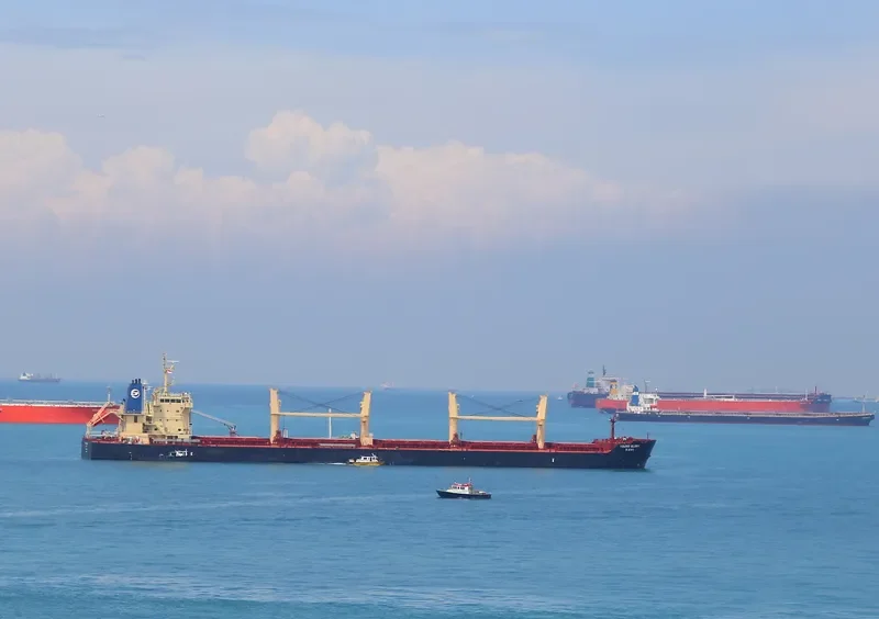 YOUNG GLORY Bulk Carrier IMO 9690133