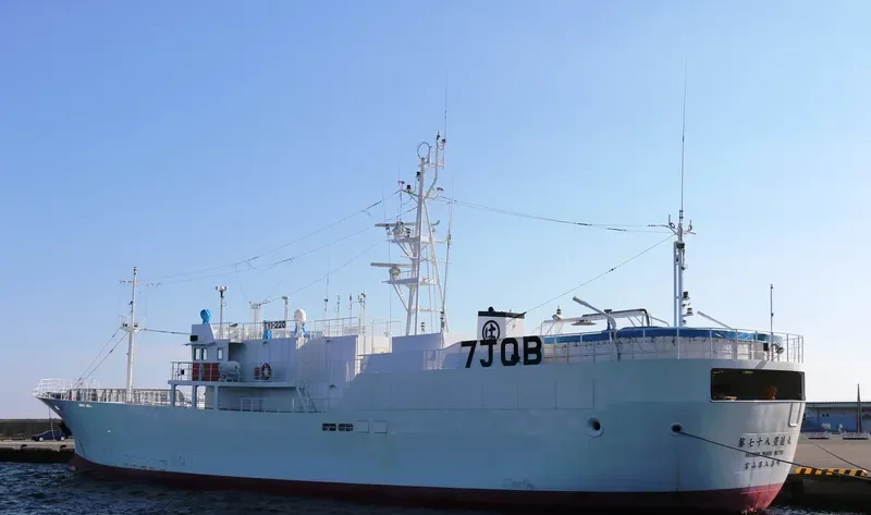HOSHIN MARU NO.78 General Cargo IMO 9690303 photo 2