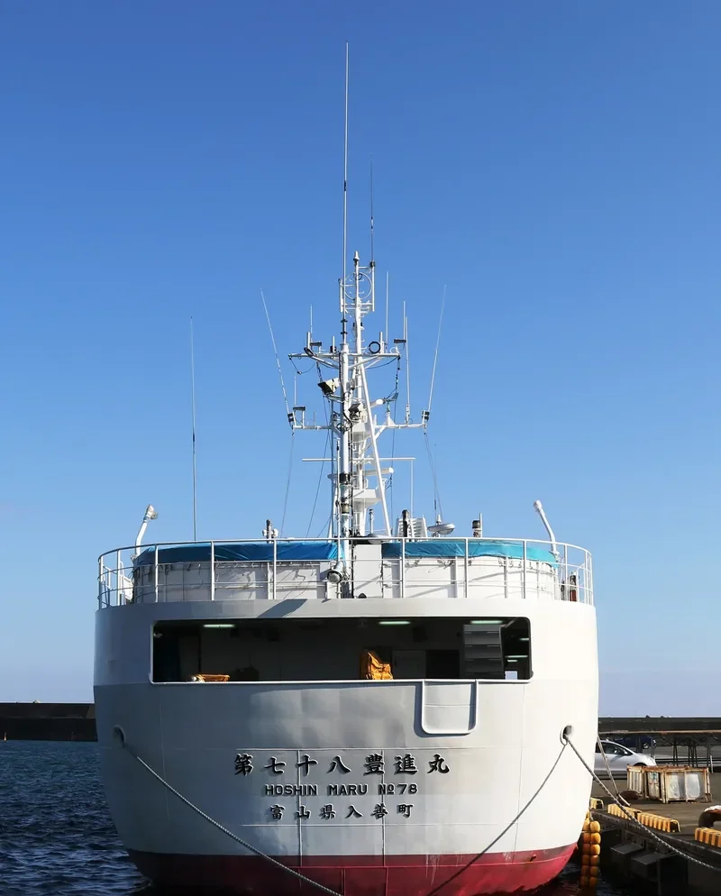 HOSHIN MARU NO.78 General Cargo IMO 9690303 photo 3