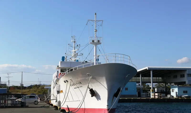 HOSHIN MARU NO.78 General Cargo IMO 9690303 photo 4