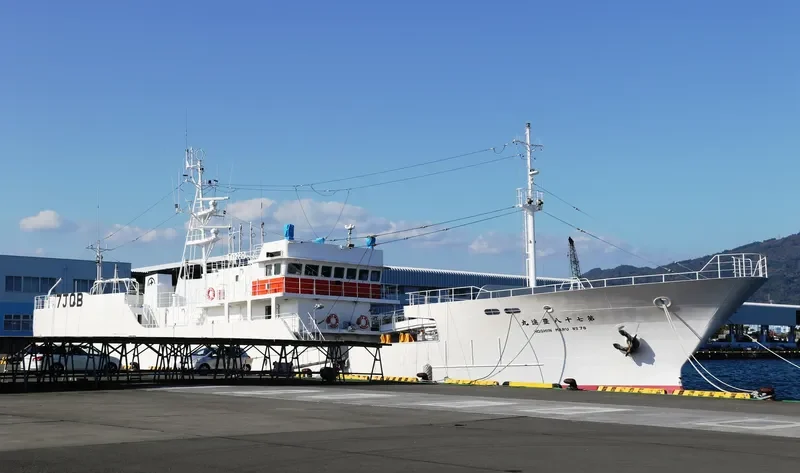 HOSHIN MARU NO.78 General Cargo IMO 9690303 photo 5
