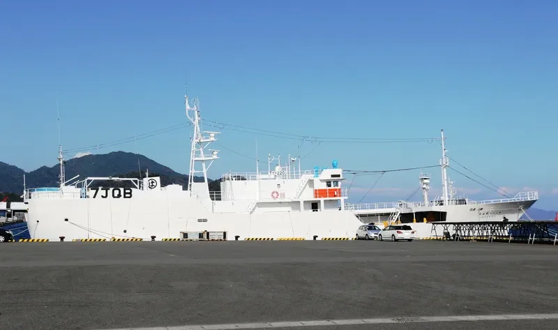 HOSHIN MARU NO.78 General Cargo IMO 9690303 photo 6