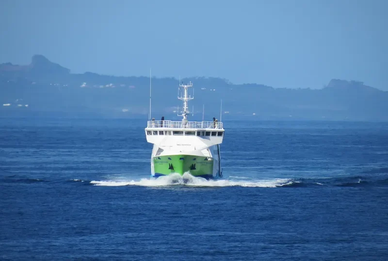 GILBERTO MARIANO Passenger Ship IMO 9690494 photo 6