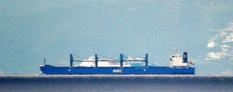 WP AMBITION Bulk Carrier IMO 9690509