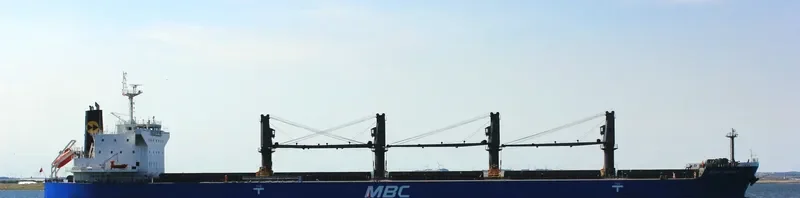 WP AMBITION Bulk Carrier IMO 9690509 photo 2