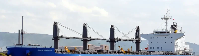 WP AMBITION Bulk Carrier IMO 9690509 photo 3