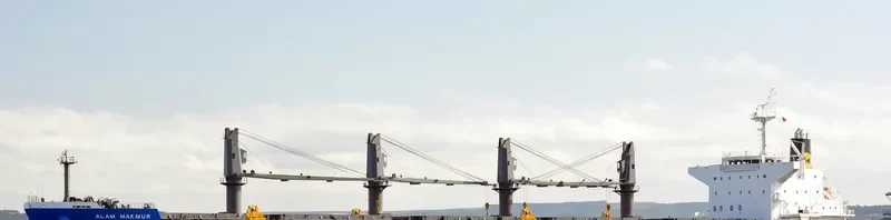 WP AMBITION Bulk Carrier IMO 9690509 photo 4