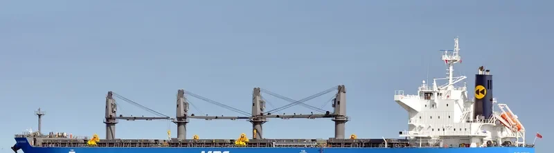 WP AMBITION Bulk Carrier IMO 9690509 photo 5