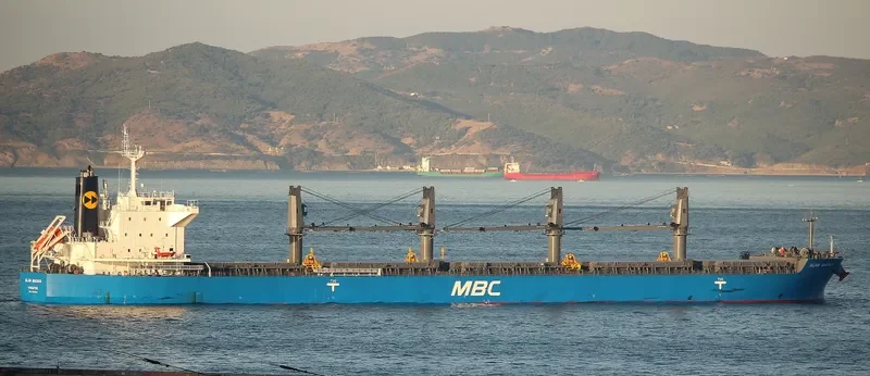 WP AMBITION Bulk Carrier IMO 9690509 photo 6
