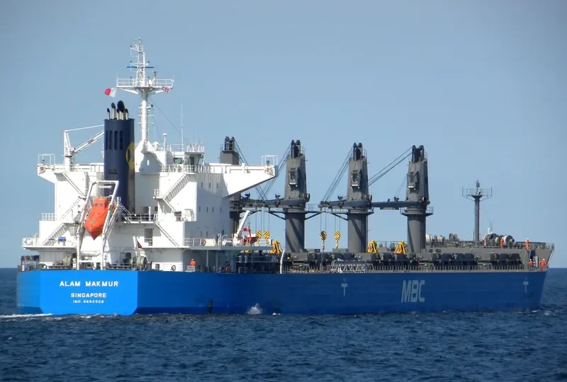 WP AMBITION Bulk Carrier IMO 9690509 photo 7