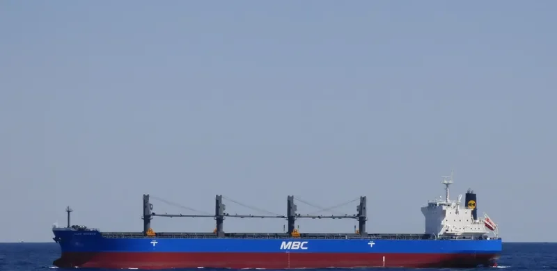 WP AMBITION Bulk Carrier IMO 9690509 photo 9