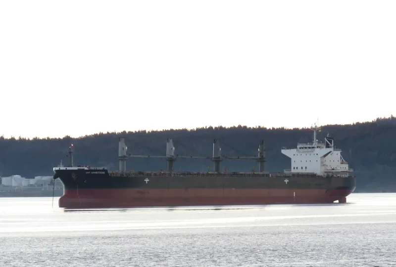 WP AMBITION Bulk Carrier IMO 9690509 photo 10