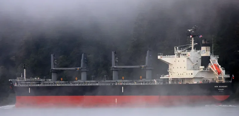 NEW BOUNDARY Bulk Carrier IMO 9690511 photo 3