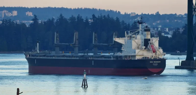 NEW BOUNDARY Bulk Carrier IMO 9690511 photo 6