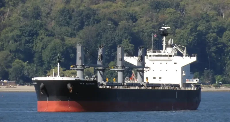 NEW BOUNDARY Bulk Carrier IMO 9690511 photo 7