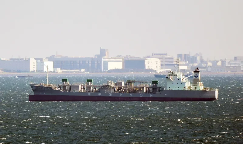 PACIFIC DREAM General Cargo IMO 9690573