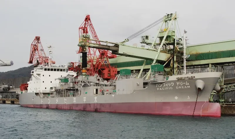 PACIFIC DREAM General Cargo IMO 9690573 photo 4