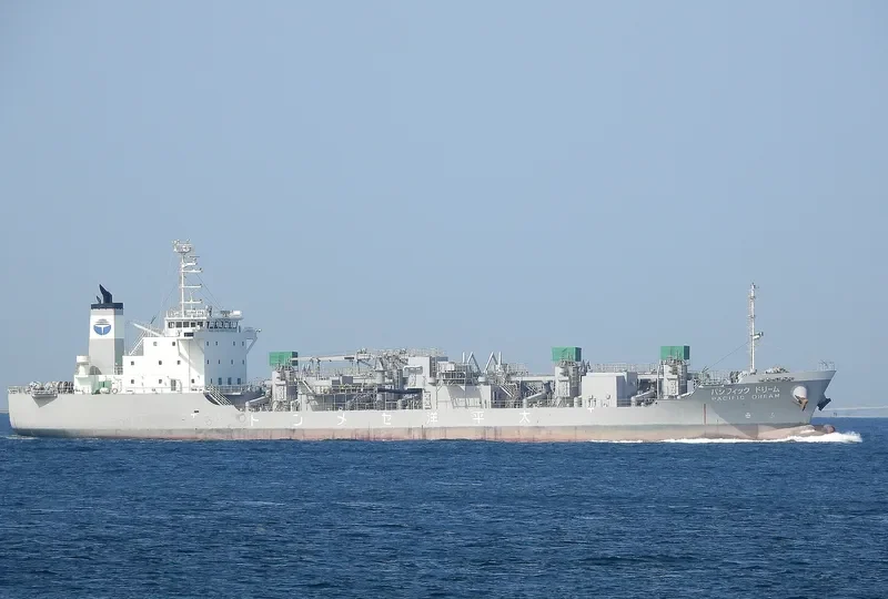 PACIFIC DREAM General Cargo IMO 9690573 photo 6