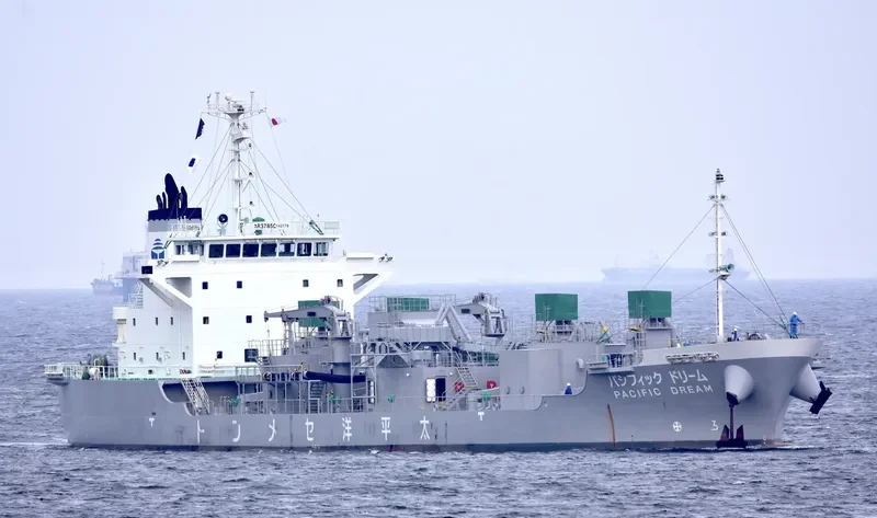 PACIFIC DREAM General Cargo IMO 9690573 photo 8