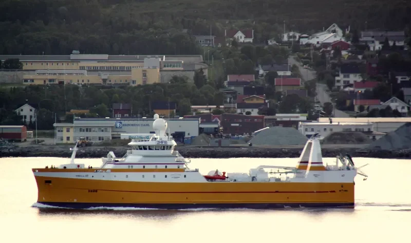 LODAIRO General Cargo IMO 9690676 photo 9