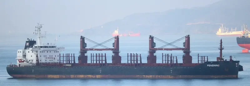 FENGNING Bulk Carrier IMO 9690884