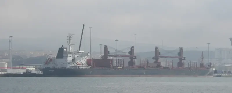 FENGNING Bulk Carrier IMO 9690884 photo 2