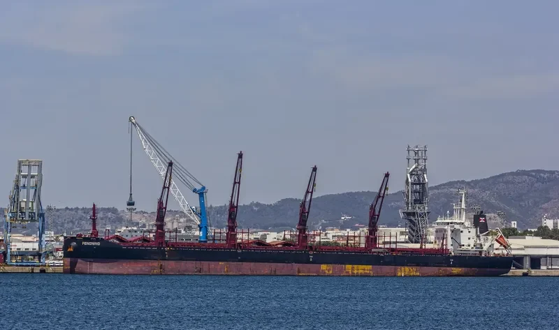 FENGNING Bulk Carrier IMO 9690884 photo 3