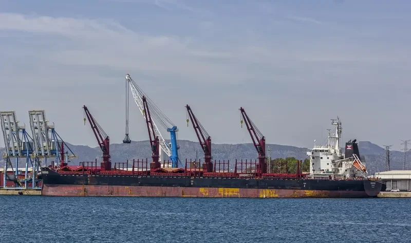FENGNING Bulk Carrier IMO 9690884 photo 4