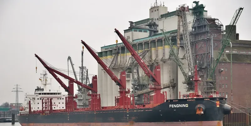FENGNING Bulk Carrier IMO 9690884 photo 5