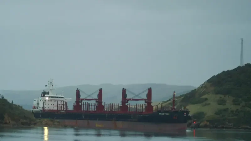 FENGTIEN Bulk Carrier IMO 9690896