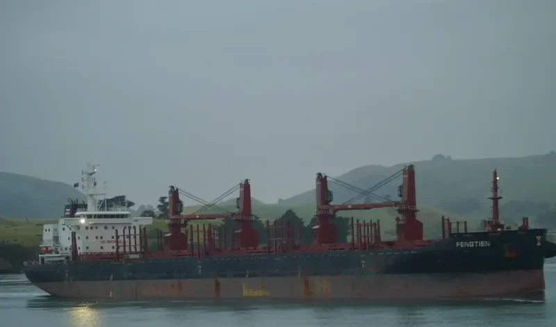 FENGTIEN Bulk Carrier IMO 9690896 photo 2
