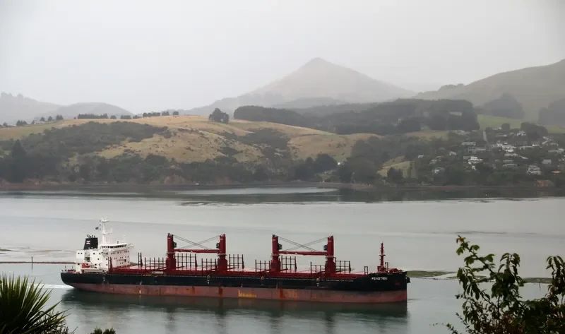 FENGTIEN Bulk Carrier IMO 9690896 photo 3
