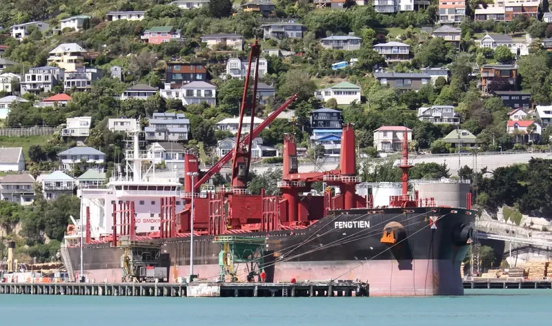 FENGTIEN Bulk Carrier IMO 9690896 photo 4