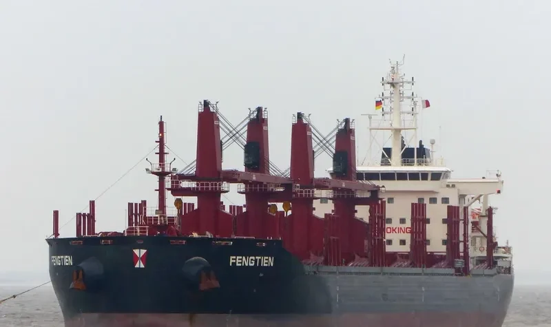 FENGTIEN Bulk Carrier IMO 9690896 photo 8