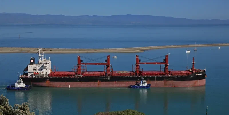 FOOCHOW Bulk Carrier IMO 9690901