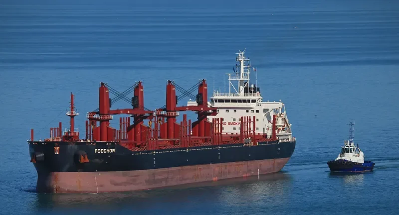 FOOCHOW Bulk Carrier IMO 9690901 photo 4