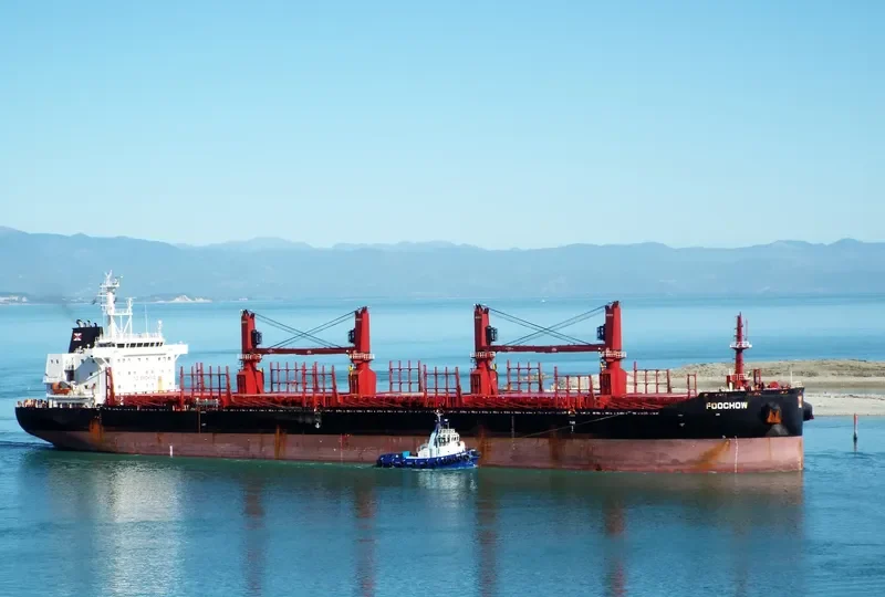 FOOCHOW Bulk Carrier IMO 9690901 photo 8