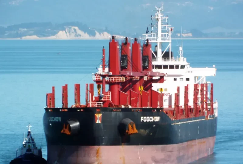 FOOCHOW Bulk Carrier IMO 9690901 photo 9