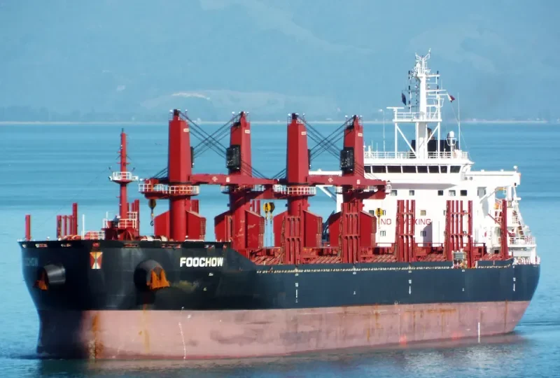 FOOCHOW Bulk Carrier IMO 9690901 photo 10