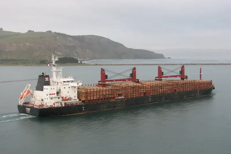 FUNING Bulk Carrier IMO 9690913