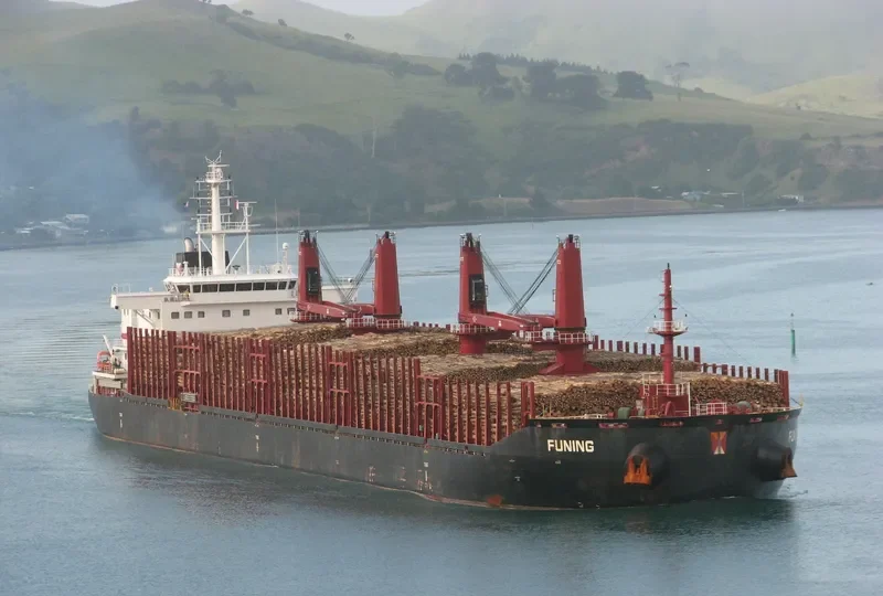 FUNING Bulk Carrier IMO 9690913 photo 2