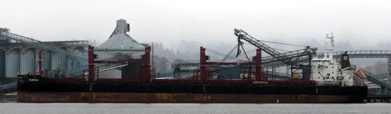 FUNING Bulk Carrier IMO 9690913 photo 5