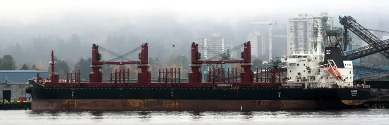 FUNING Bulk Carrier IMO 9690913 photo 6