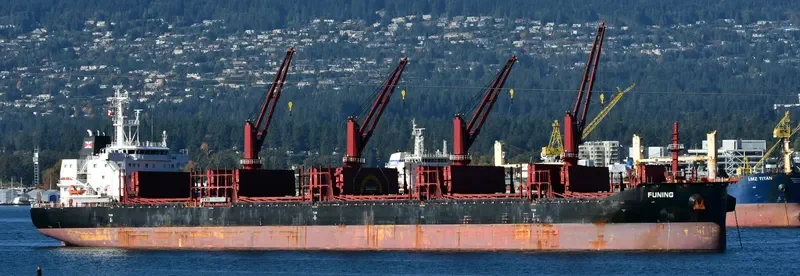 FUNING Bulk Carrier IMO 9690913 photo 8